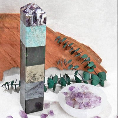 DM_20260228105435_001