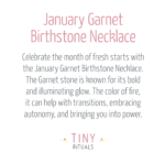 January Garnet Birthstone Necklace：圖片 4
